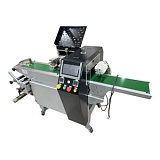 Горизонтальный станок для упаковки продукции в пакет-подушку ZS350-XZM